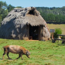 Origin cottage of the Mapuche tribe
